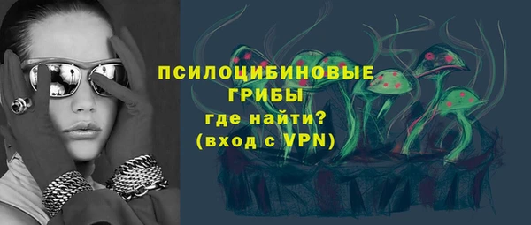 соль ск Алзамай