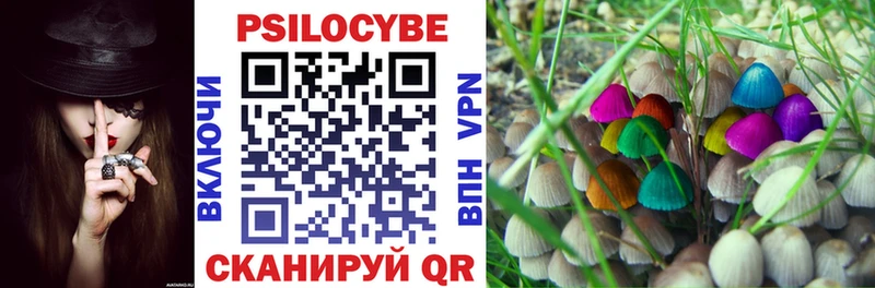 Купить закладки  Мещовск  Галлюциногенные грибы ЛСД 